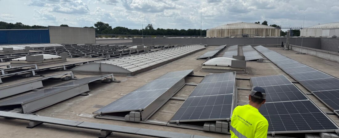 Revamping Our Online Presence: The Heliostoik Group Website